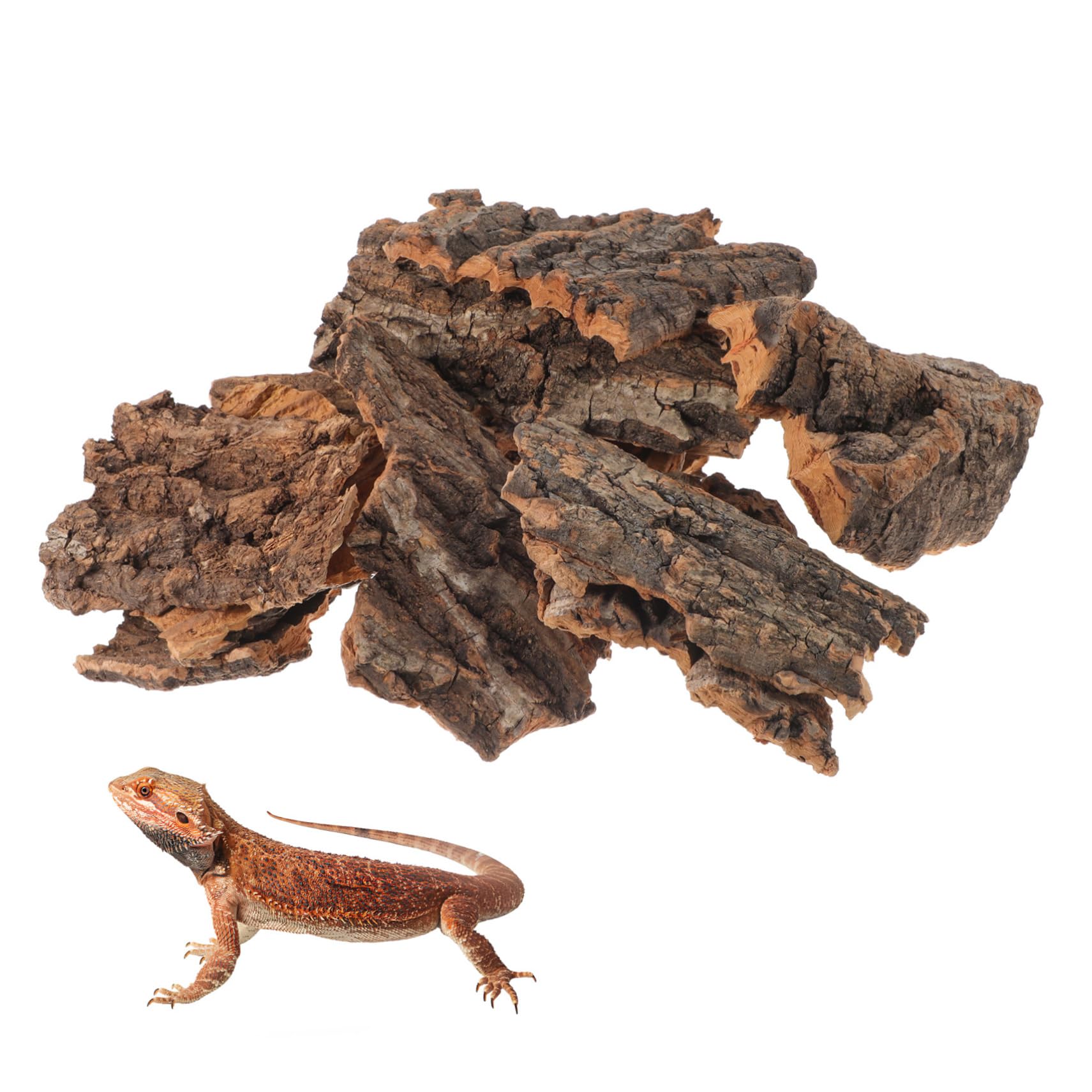 14piezas Plataforma De Trepa para Reptiles Refugio Natural y Decoración para Terrario y Acuario Aislante para Reptiles Espacio De Ocultación para Serpientes y Lagartos