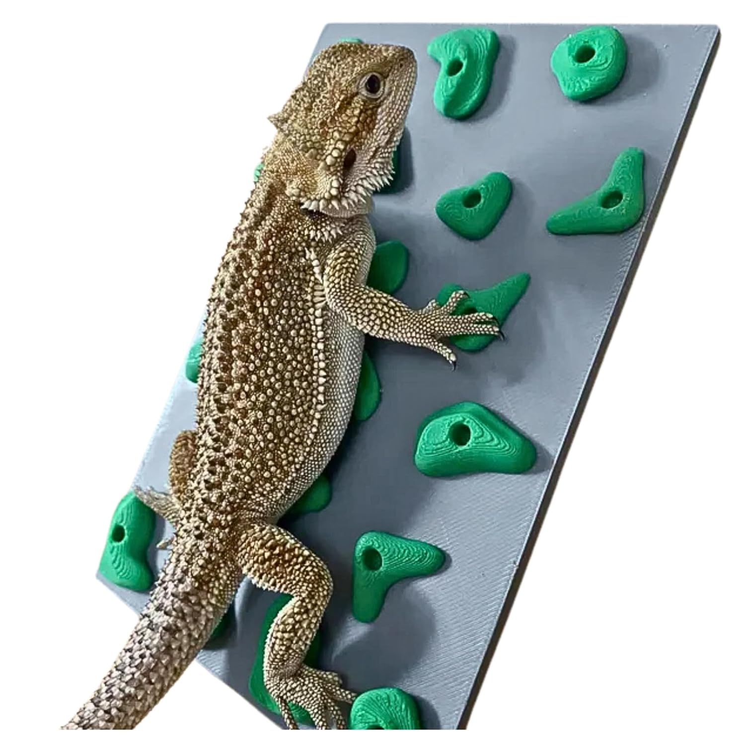 Miniature Reptile Rock Climbing Wall – Enclosure Enrichment for Bearded Dragons, Geckos, and Small Pets – Fun Activity and Habitat Décor