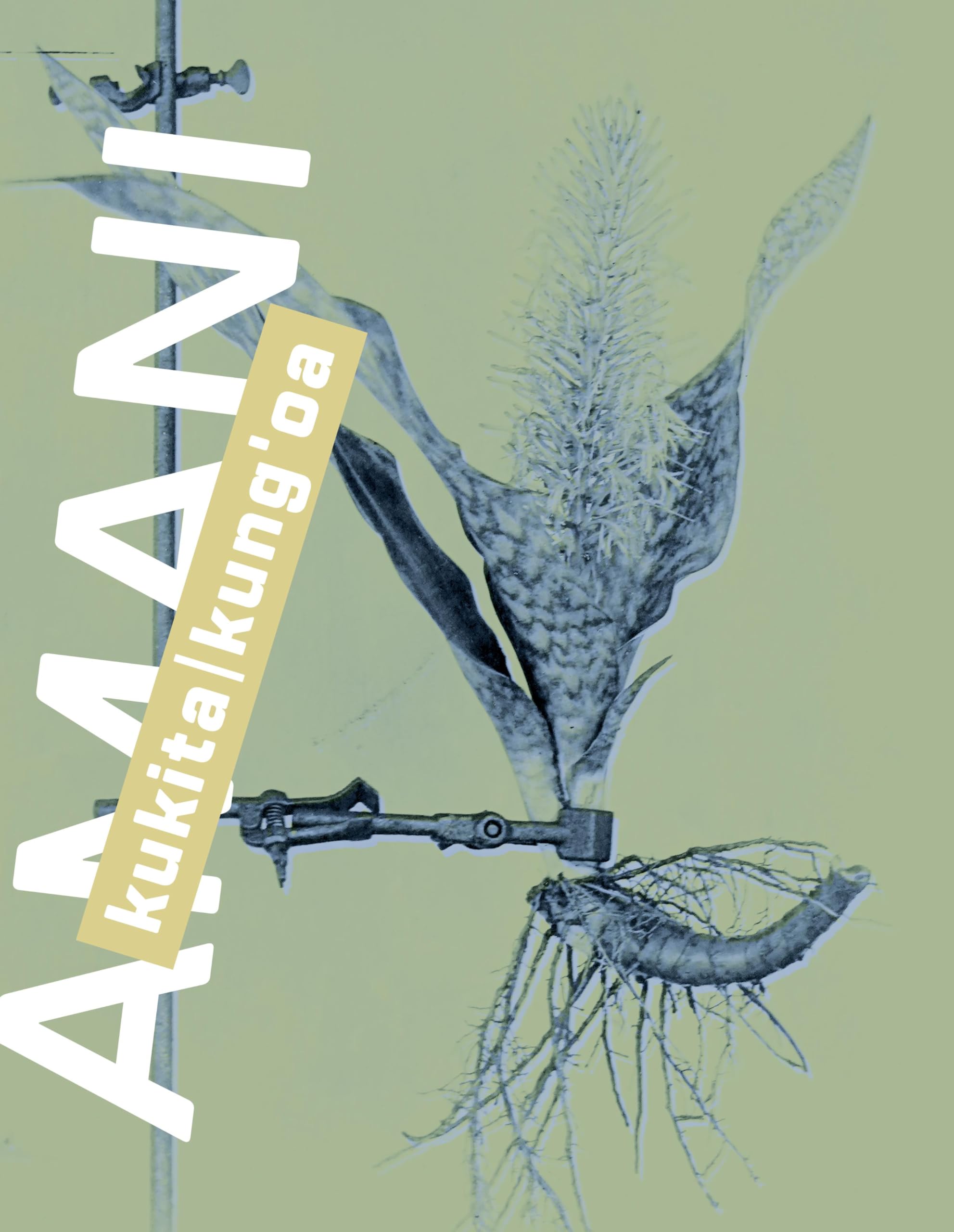 Amani tapis cocooning pour coin lecture chaleureux et soirées d'hiver