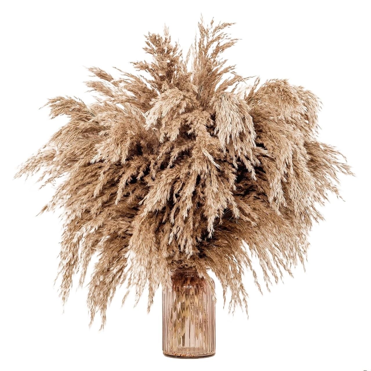 Décor d'herbe de pampa séchée, Grand herbe de Pampas moelleuse brune, herbe pompeuse sèche, décor de fleurs de mariage, Bouquet de fleurs naturelles, décoration de salle, Vase d'herbe de Pampas(5pcs)