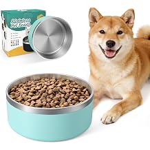 IKITCHEN Dog Bowl for Food and Water, 64 Oz Stainless Steel Pet Feeding Bowl, Durable Non-Skid Double Wall Insulated Heavy Duty with Rubber Bottom for Medium Large Dogs 64 Ounces/8 Cup, MintGreen