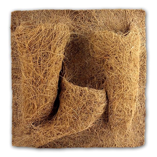 Reptiles Planet - Imagen de Fondo de Coco para terrarios para Planter 30 x 30 x 1 cm