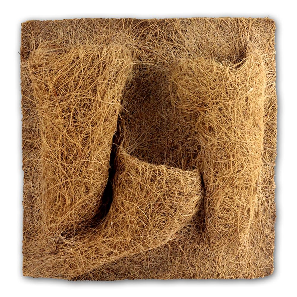 Reptiles Planet – Imagen de Fondo de Coco para terrarios para Planter 30 x 30 x 1 cm