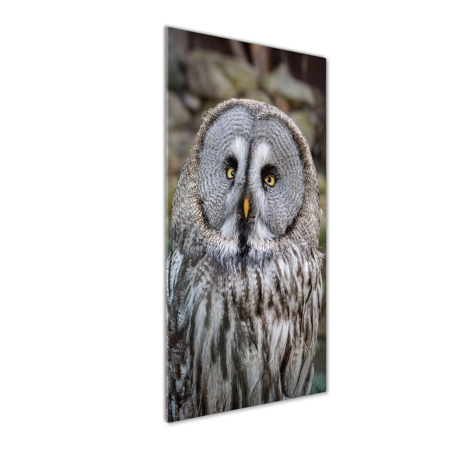 Impression sur Verre Acrylique 50x125 cm Tulup • Tableau Mural Hibou Brun