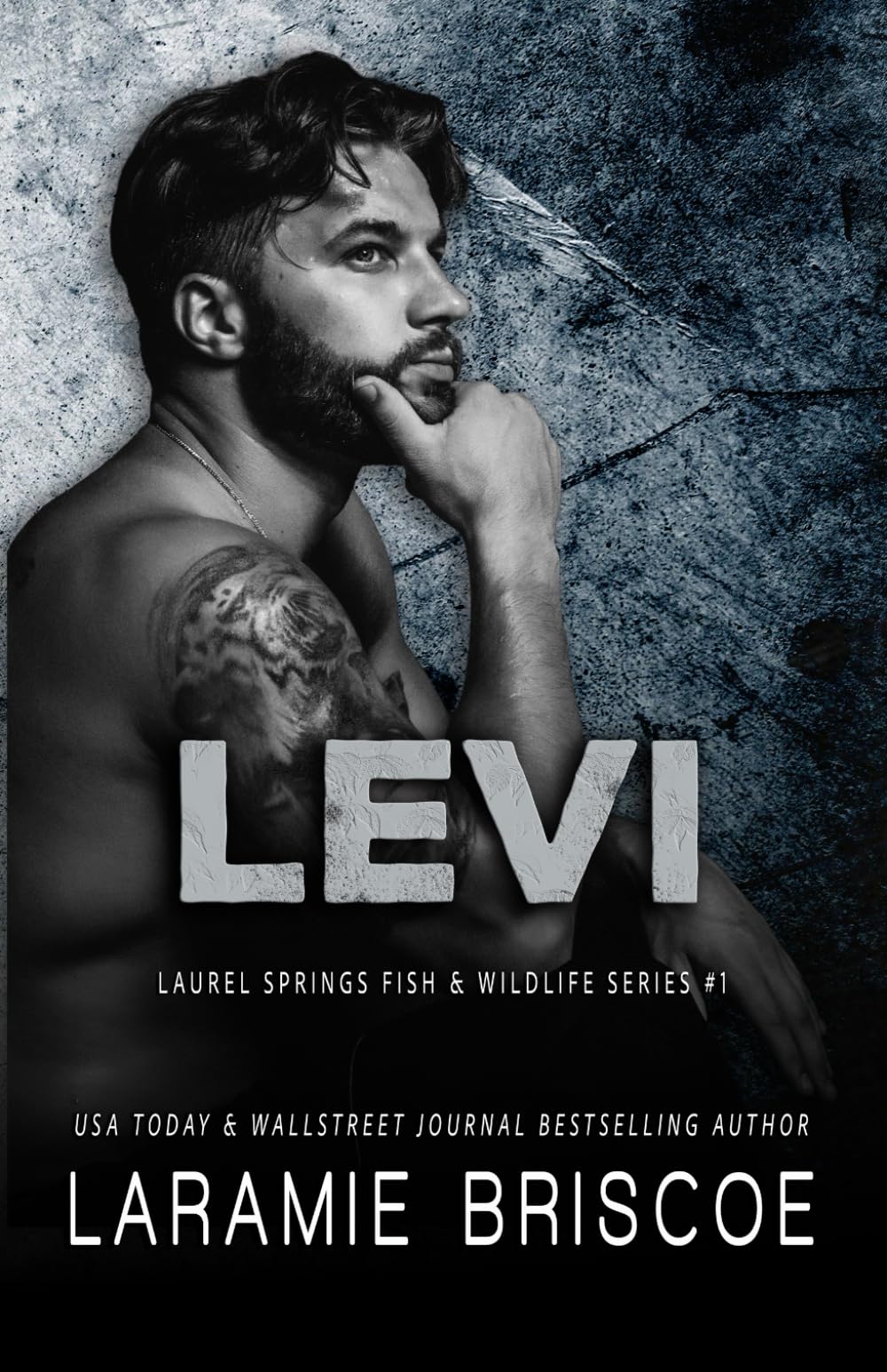 Levi (The Laurel Springs Fish & Wildlife Series)