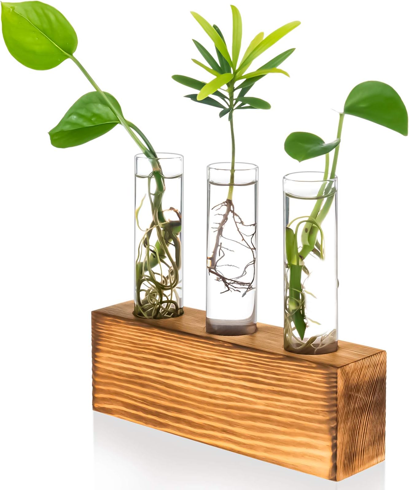 Kingbuy 3 Test Tubes Glass Planter Terrarium Flower Vase with Wooden Holder for Propagation Hydroponic Water Plants Home Office Desktop Decoration, Tabletop Plant Gift, Brown