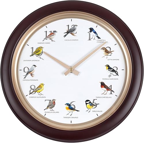 Reloj de pared de pájaro cantante de 13.3 pulgadas con canciones de pájaros reales, movimiento silencioso sin tictac, reloj decorativo de animales