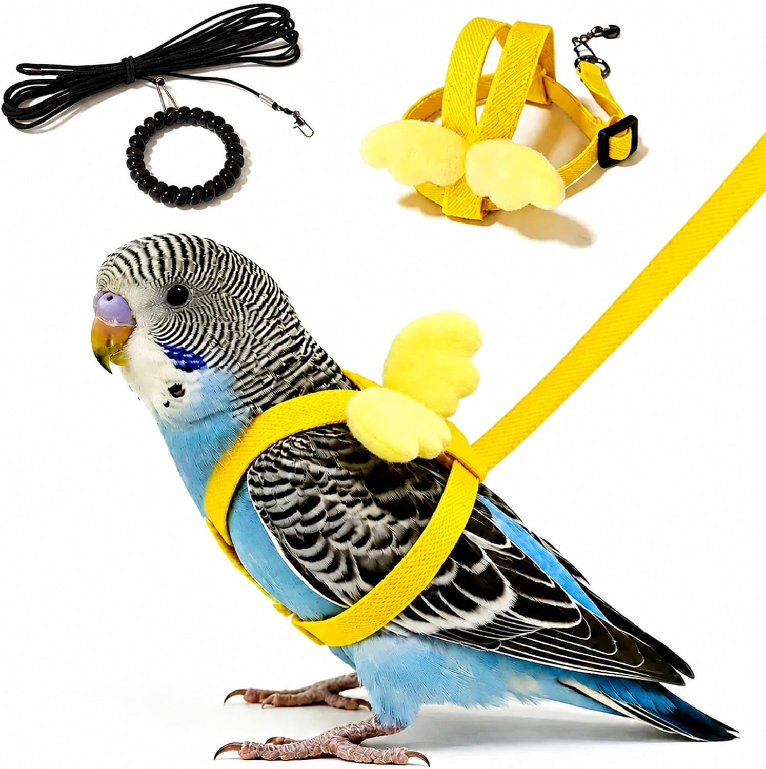 Pet Parrot Bird Harness and Leash, 2m Adjustable Polyester Rope