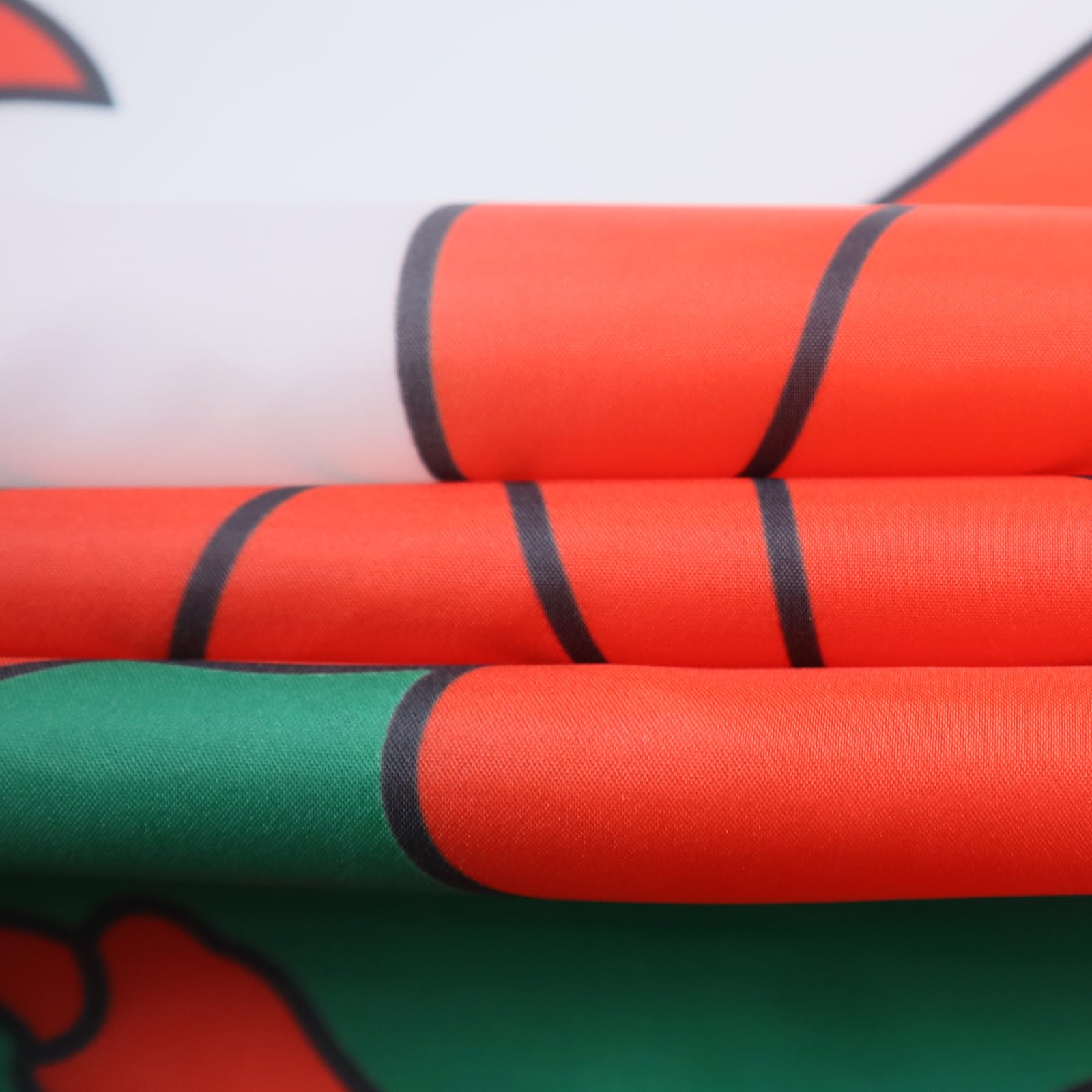 AZ FLAG Welsh Flag 150 x 90 cm with 4 Eyelets for Balcony or Wall, Wales, 1 Pièce - Image 2