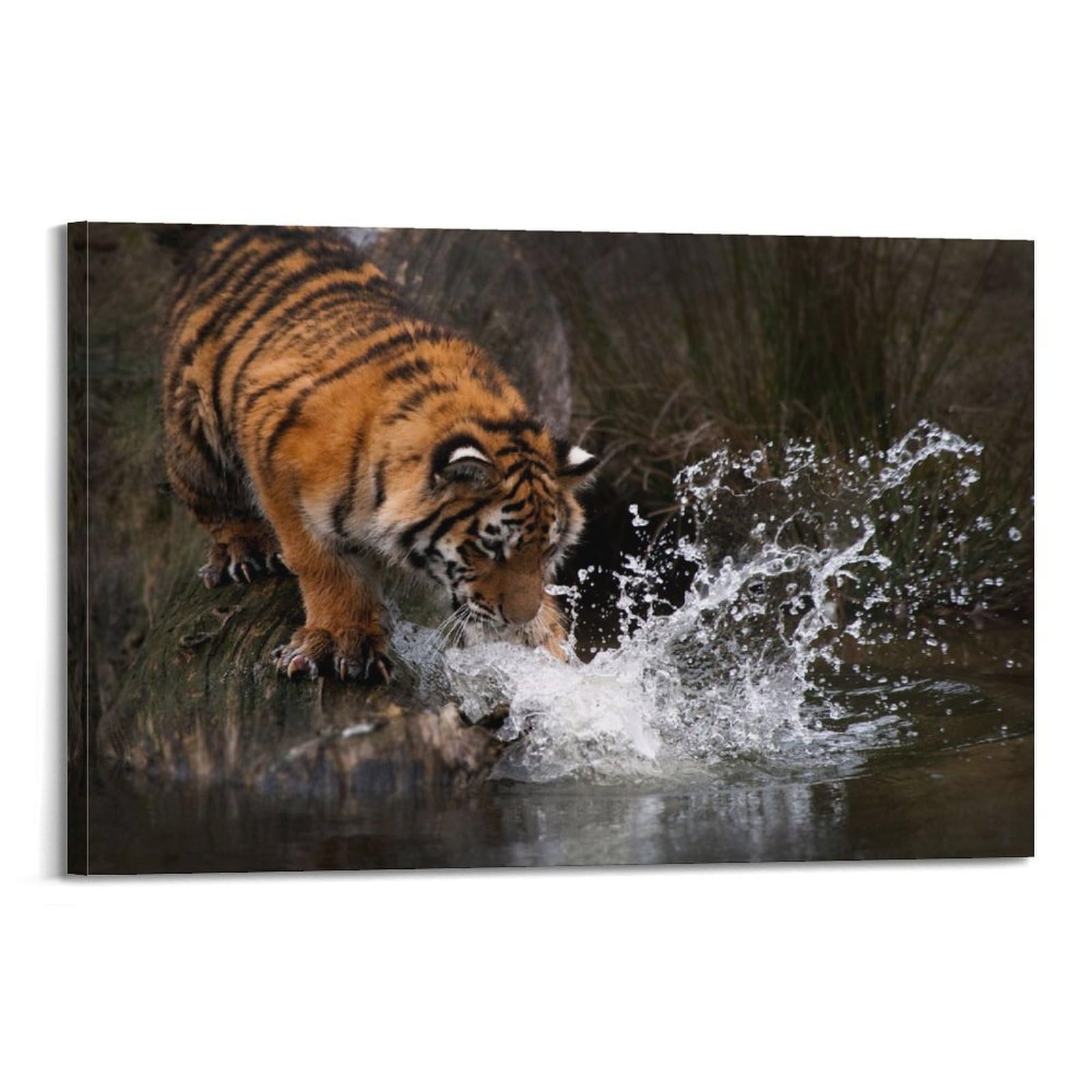 JTLFXY Animal Poster Tiger Drinking Water Poster Decorative Painting Canvas Wall Posters And Art Picture Print Modern Family Bedroom Decor Posters 20x30inch(50x75cm)