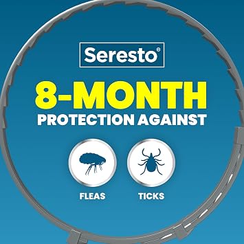 Seresto Cat Vet-Recommended Flea & Tick Treatment & Prevention Collar for Cats | 8 Months Protection