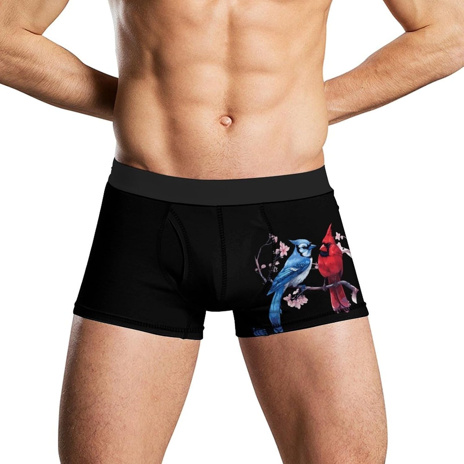 Cardinal Bird Blue Jay Men's Underwear Soft Novelty Boxer Briefs Underpants Shorts Trunks