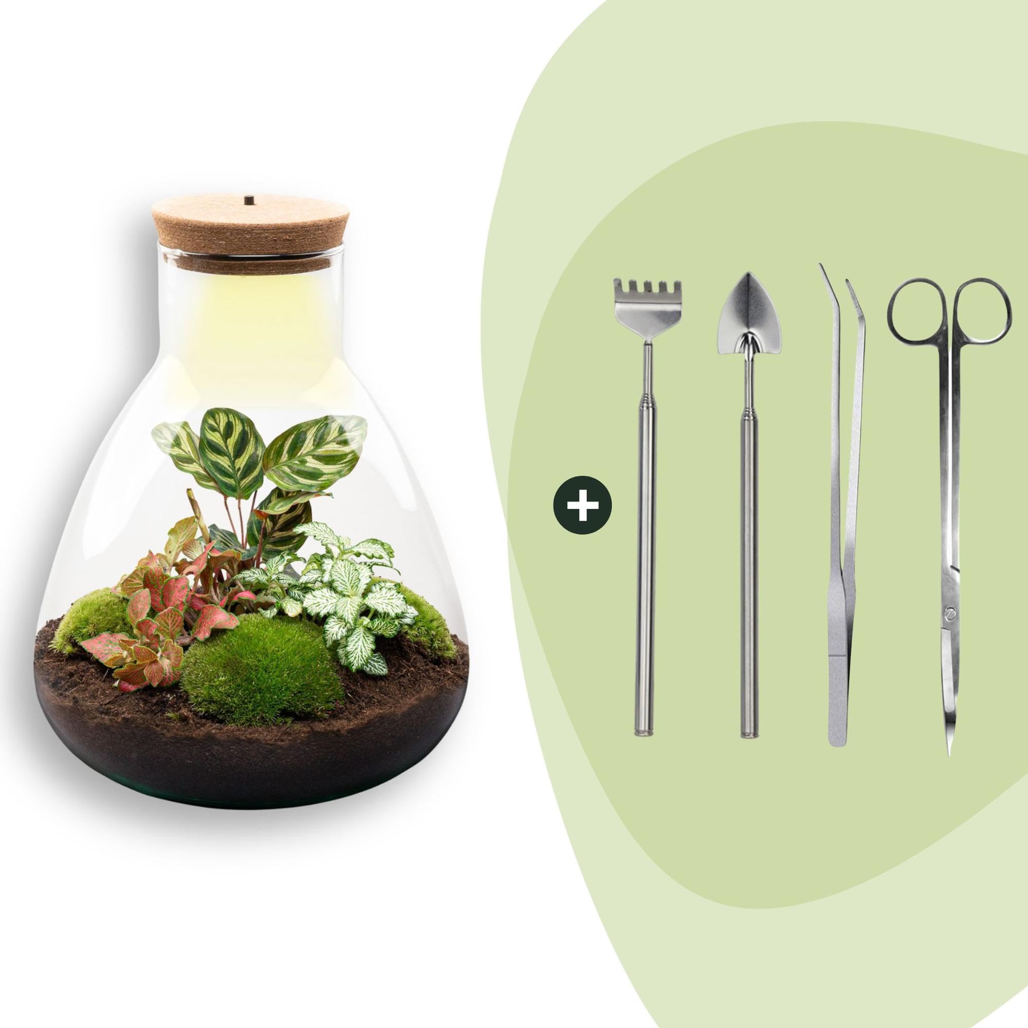 DIY Terrarium mit Kork und LED, Flaschengarten für Büro, Ø 24.5 x 30 cm
