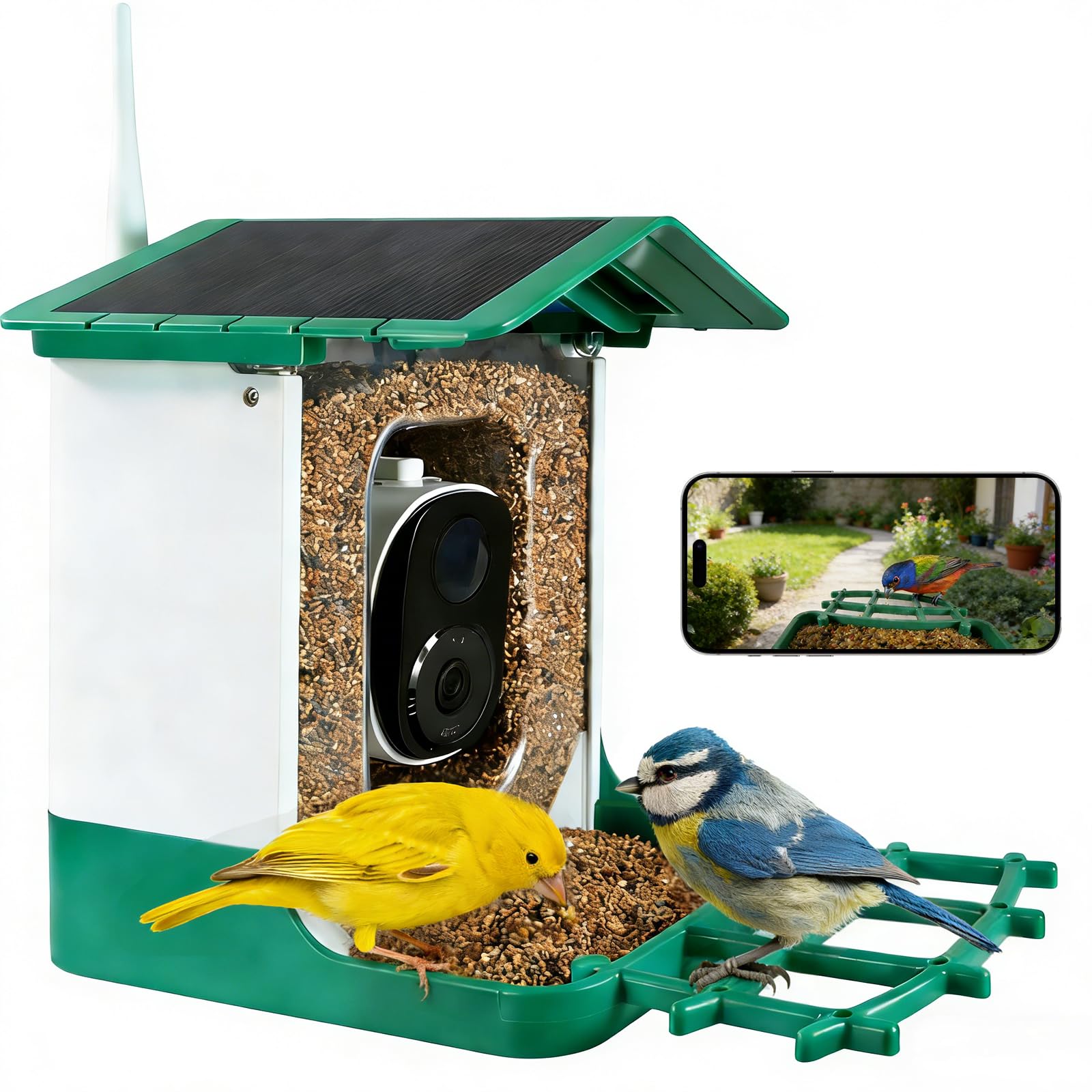 Bird Feeder with Camera, Squirrel Proof Bird Feeder Dual Solar Powered for Outdoors, AI Identify 11,000+ Birds, Real-Time Motion Detection,UHD Live Stream for Birdwatching-Gifts for Bird Lovers