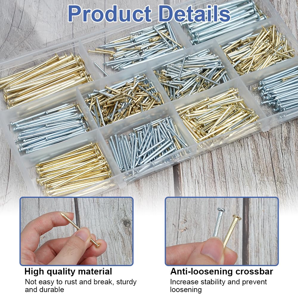 Kit di 900 Chiodi Assortiti, 10 Misure Assortimento di Chiodi, Chiodini per Quadri Muro, Chiodi per Legno, Chiodi in Acciaio, Chiodi per Cemento Armato, per Fissaggio Cornici, Lavorazione del Legno