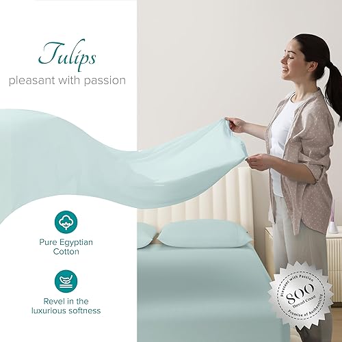 Miniatura 2 de Carressa Linen Juego de sábanas de 800 hilos 100% algodón egipcio suave de fibra larga, juego de 4 piezas, sábanas matrimoniales, bolsillo de hasta