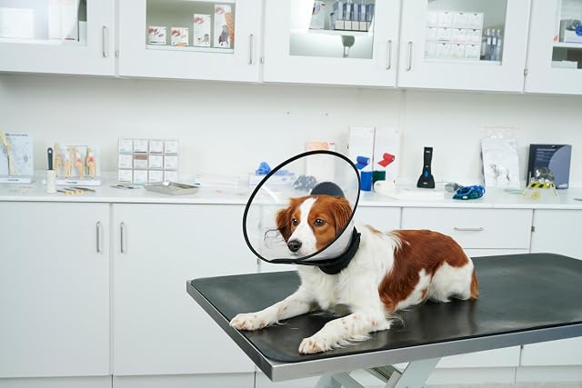 Foto 4 de 5 de Buster Complete Collar 30CM 5UDS KRUUSE