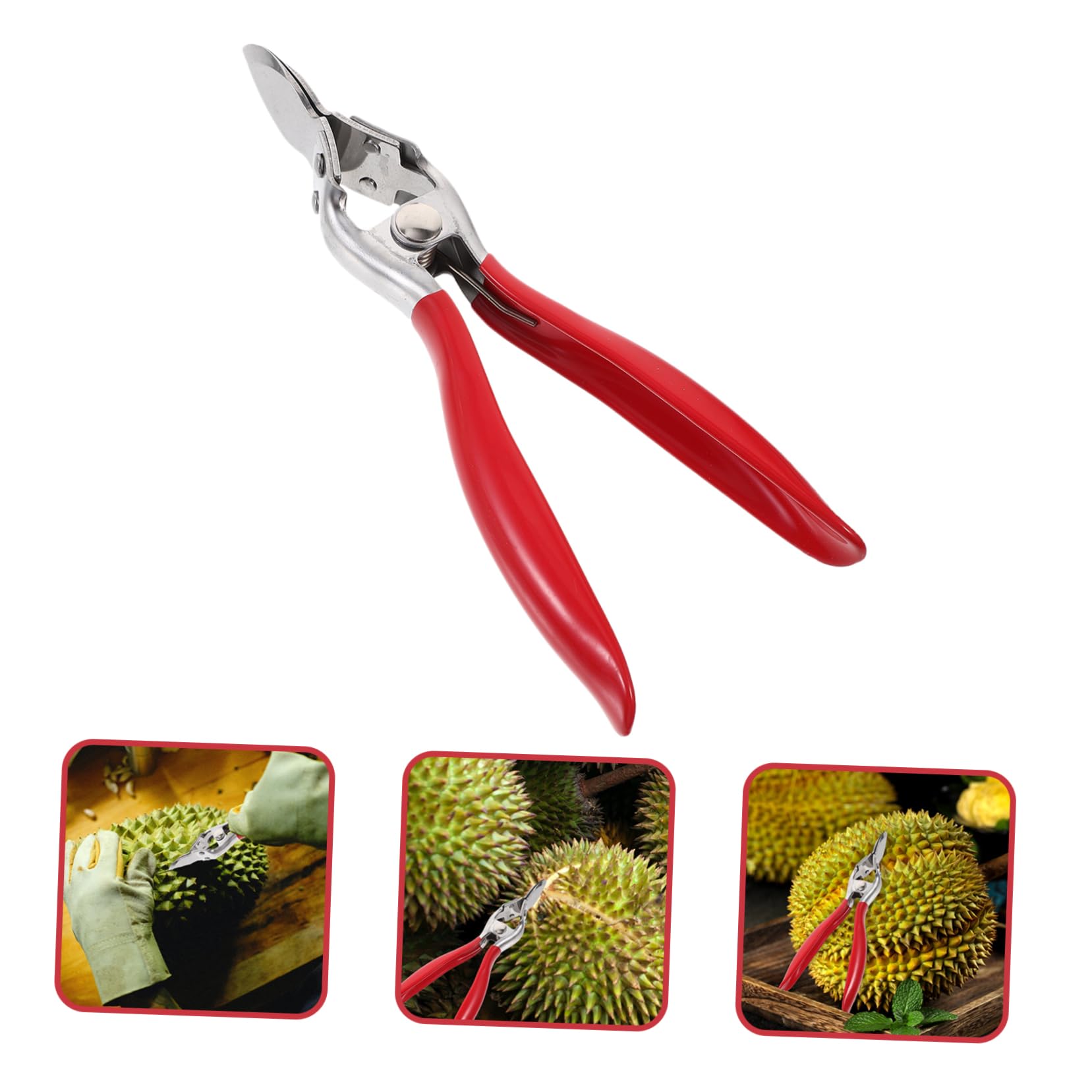 LIFKOME Durian Opener Durian Shell Peeler Durian Opening Tool Can Coconut Shell Breaker Can Opening Tool Nut Crackers Tool Durian Divider