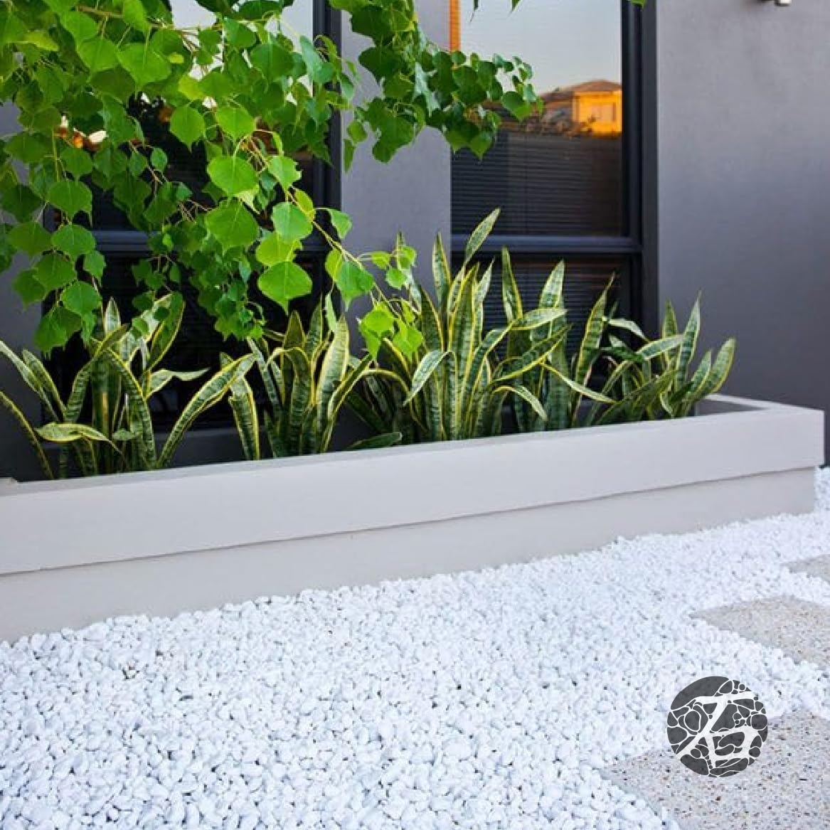 Coastal Designs White Pebbles | 40LB Bag | 1–3 Inch Natural Matte Decorative Stones for Landscaping, Pathways, Borders, Ground Cover, Ponds, Planters & Home Décor | Covers 0.5 Cu Ft