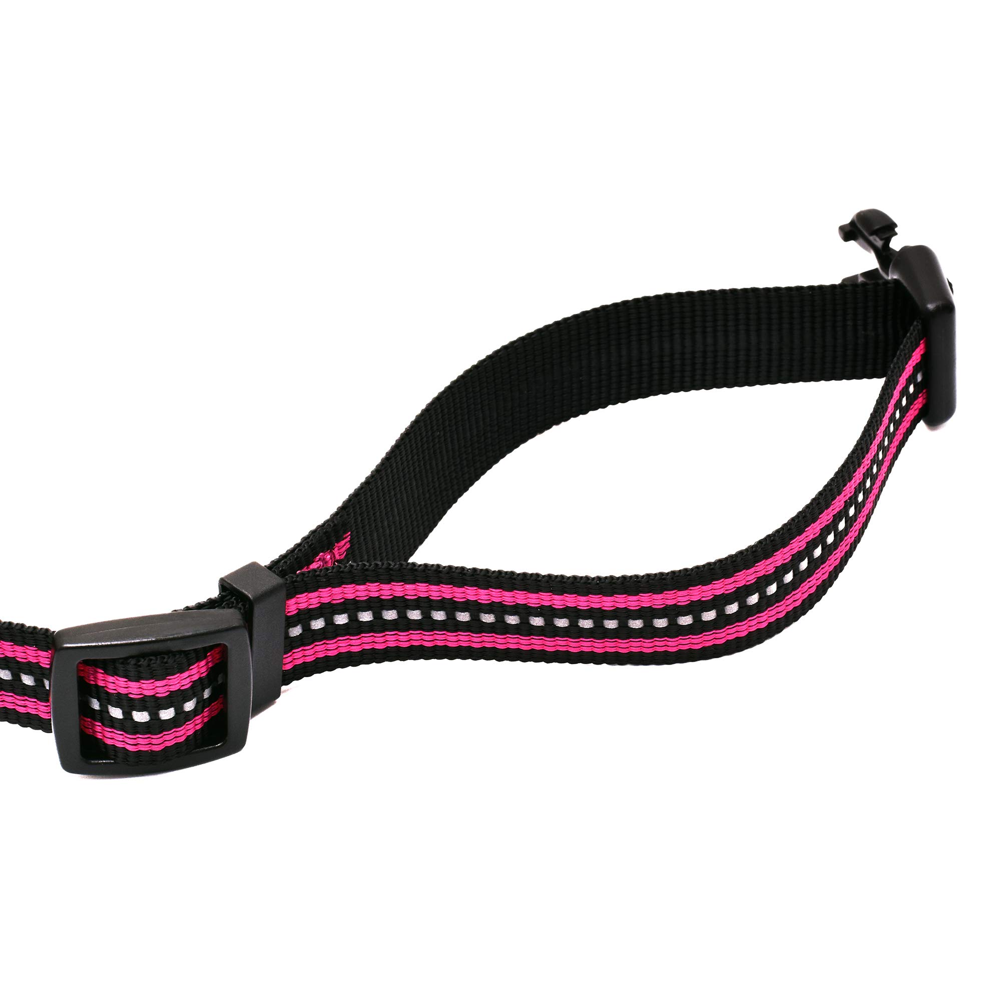 Hundehalsband Reflektierend – 2 Stück, Nylon, Verstellbar, Mit D-Ring, Für Kleine Bis Mittlere Hunde