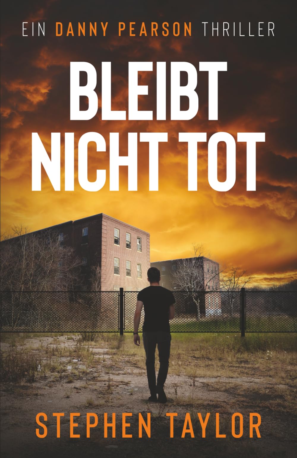 Bleibt nicht tot (Die Danny-Pearson-Thriller-Reihe)