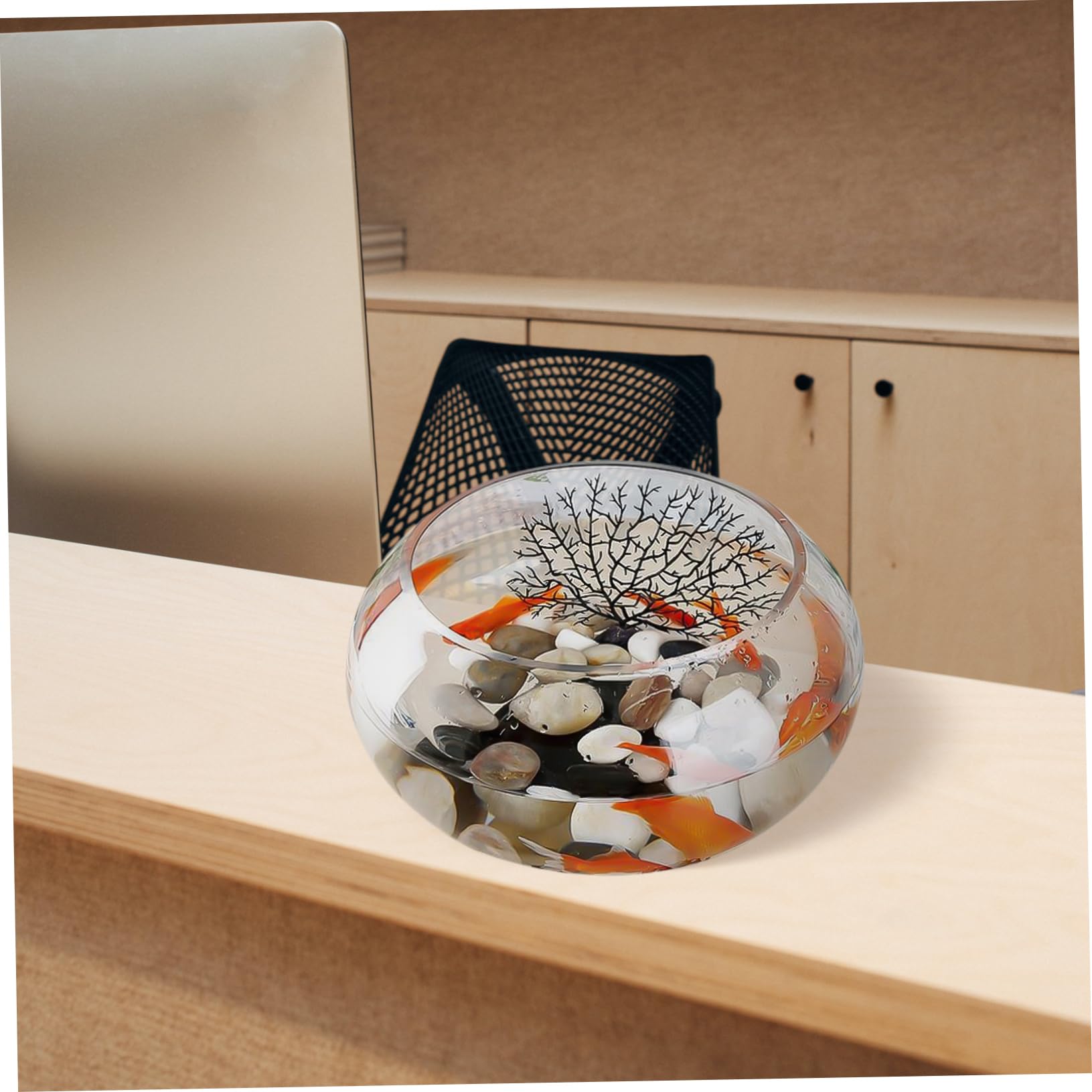 Beaupretty Pecera De Vidrio Transparente para Escritorio Acuático Decorativo para Plantas y Peces Terrario Hidropónico para Hogar y Oficina