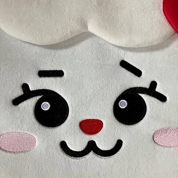 NiziU リマ　グッズ　バラ売り場⚪︎ Amazon.co.jp: 公式グッズ NIZOO うちわケースカバー リマLlanu