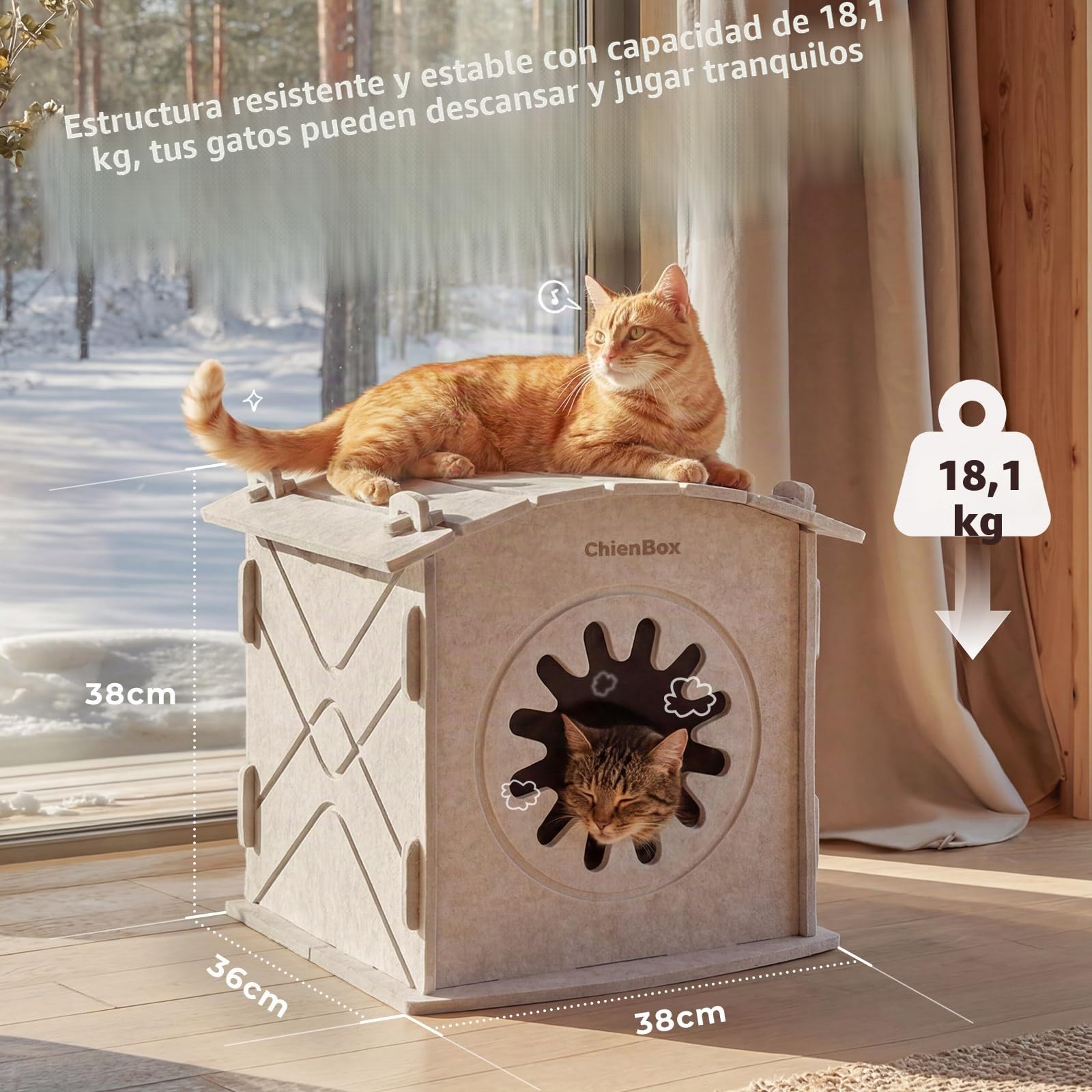 Casa para Gatos Interior de Fieltro: Cálida Cueva para Gatos Invierno, Casa Gatos Robusta, Casa Gato con Entrada Rascadora, Cama para Gatos Fácil de Limpiar y Montar, Cueva Gato 38x36x38cm
