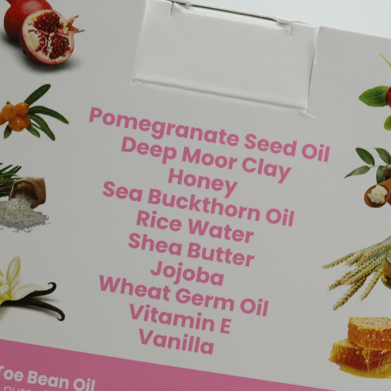 Ultimate Hairless Cat Skincare Kit, All-in-One Set, for Skin & Paws, 100% Natural Cat-Safe Ingredients