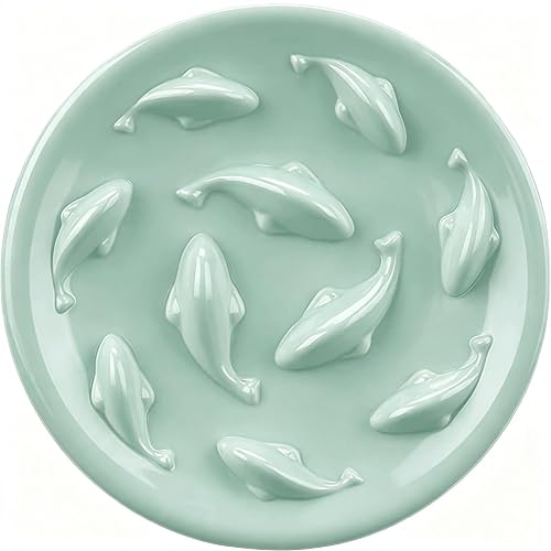 Cuenco de alimentación Lenta para Gatos y Perros pequeños, diseño Cilkus de Piscina de Peces