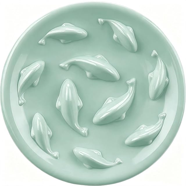 Cuenco de alimentación Lenta para Gatos y Perros pequeños, diseño Cilkus de Piscina de Peces