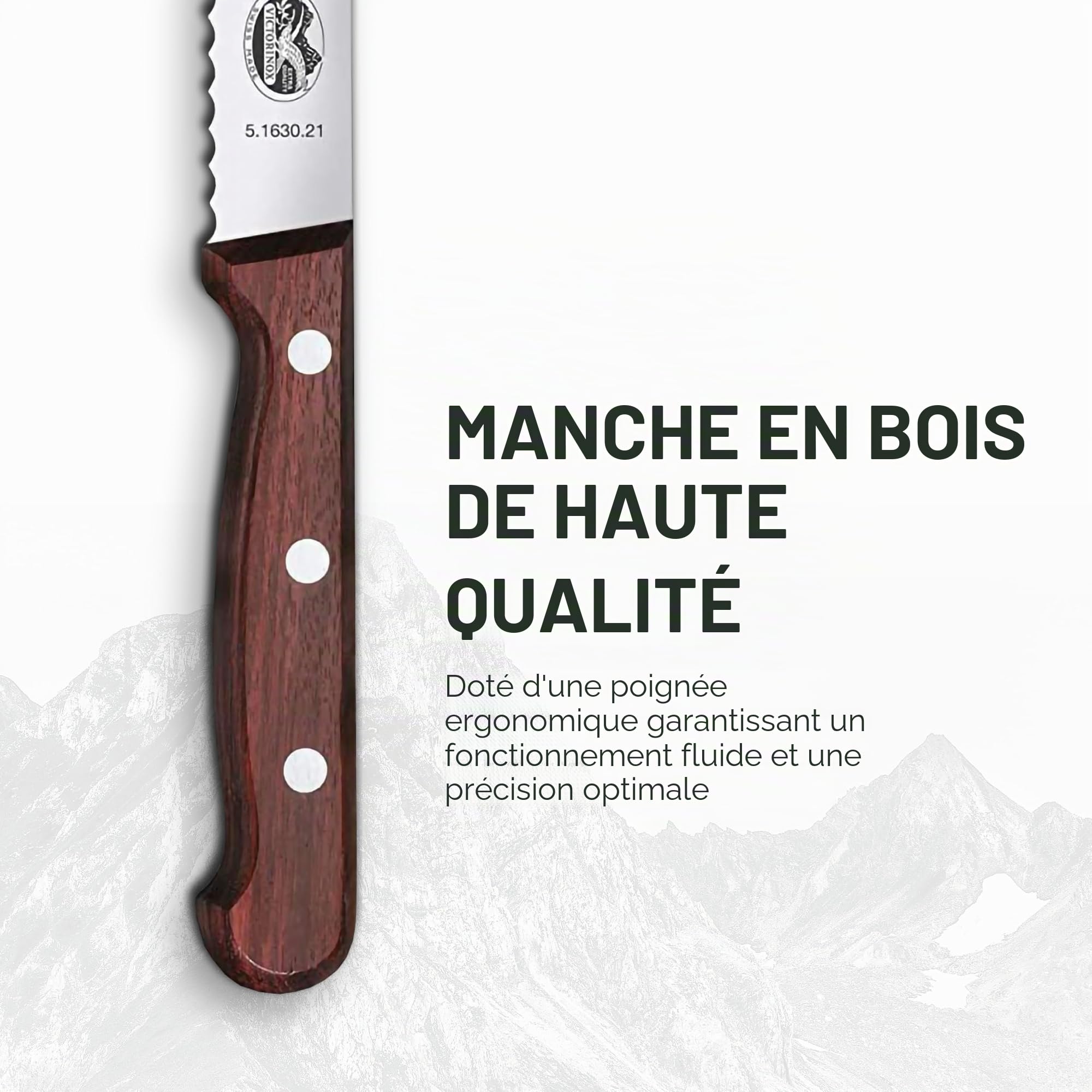 Victorinox Wood Couteau à Pain avec Coffret Cadeau, Bois D'Érable Modifié, Tranchant Denté, 21cm