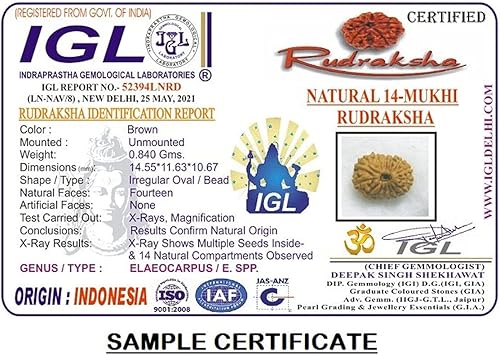 Miniatura 2 de 14 Mukhi indonesio Rudraksha Catorce caras JavaSeñor Hanuman en plata pura colgante certificado IGL 100% original Geniune Bead todos los tamaños