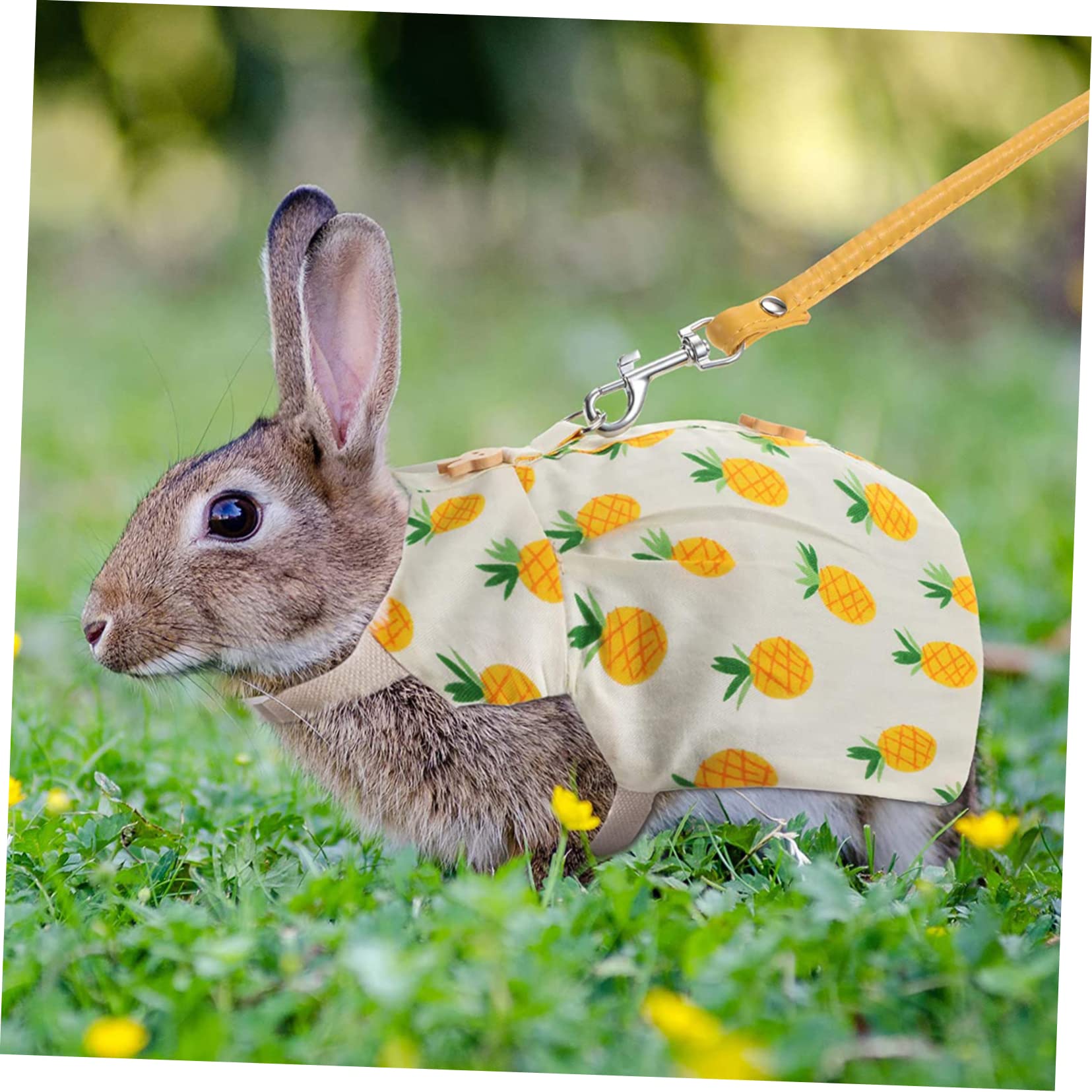 Happyyami Haustiergeschirr Kaninchengeschirr Satz Aus Baumwolle Mit Leine Bequem Und Leicht Süße Kaninchen Dekoration Kleines Kaninchen Und Meerschweinchen Zubehör