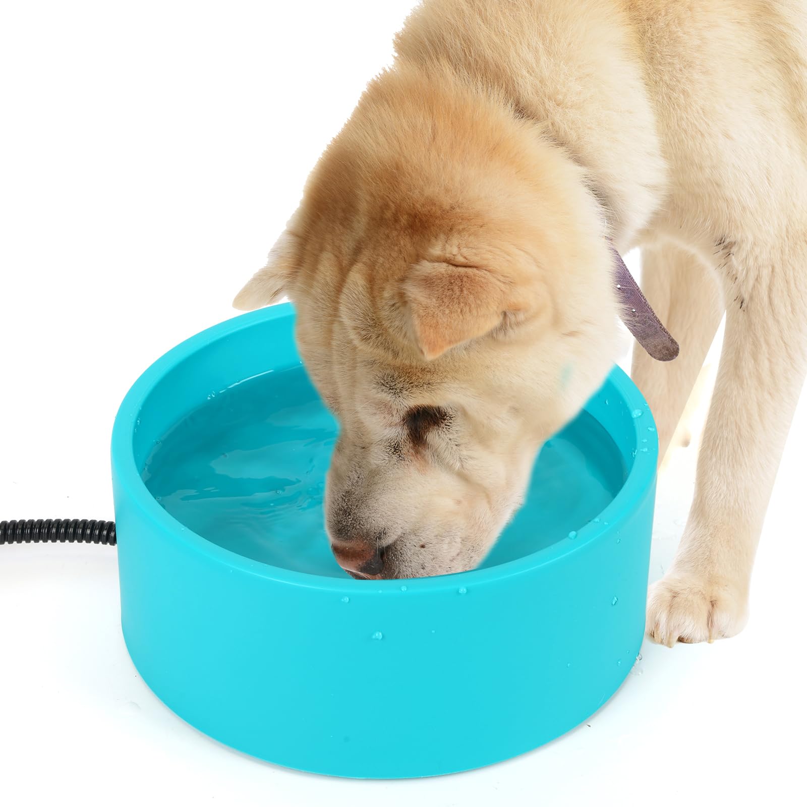 Berverra Heated Water Bowl for Cats & Dogs, 3.2L Heated Dog Bowl, Outdoor Heated Dog Water Dish in Winter, Thermostatic Control Anti-Freeze Heated Pet Water Bowl for Chicken,Duck,Goose,Rabbit
