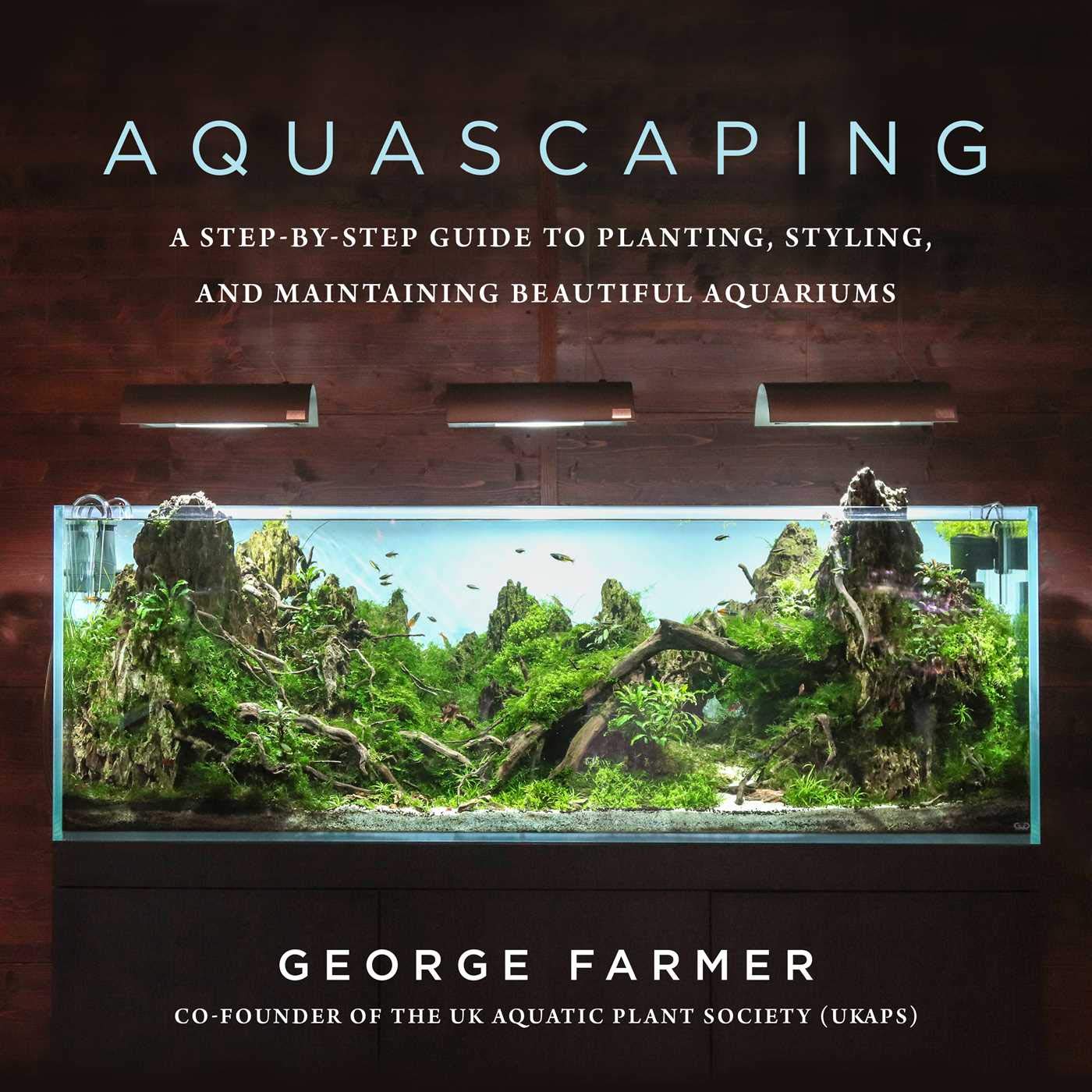The Ultimate Guide to Choosing the Best Fish Tank Size Living with Fish