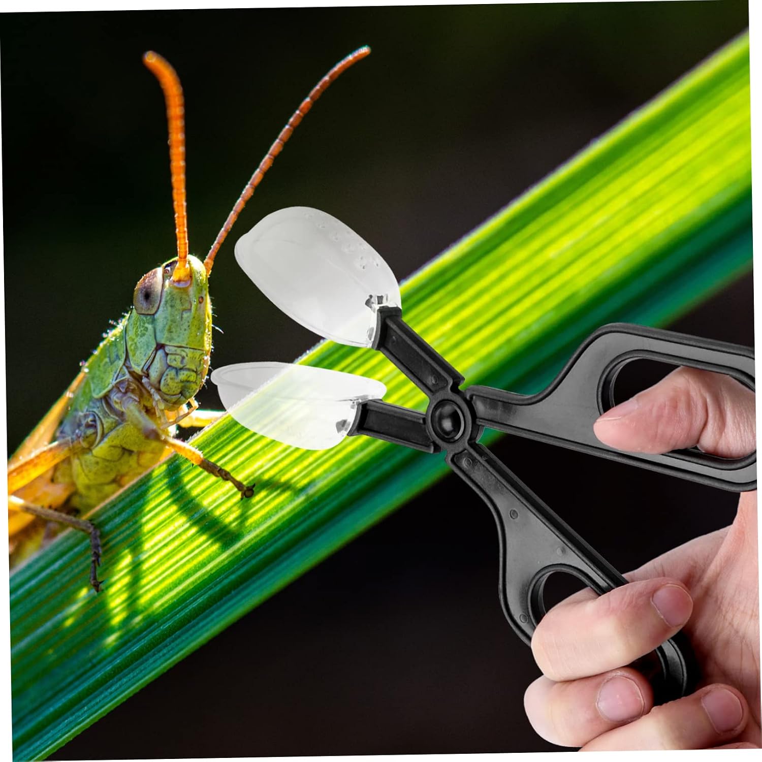 Kisangel 3Pcs Reptile Feeding Clip Flexible Insect Feeding Cleaning Tool for Crickets for Lizard Reptile Care
