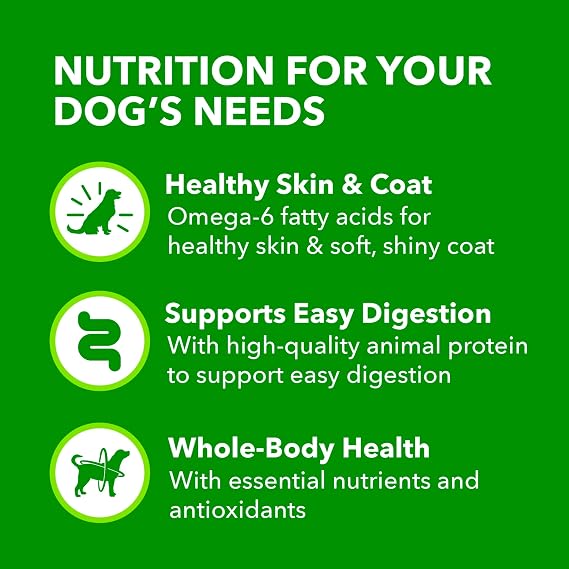 IAMS Proactive Health Ground Wet Dog Food, Lamb & Rice, 13 oz, 12 pack | Real lamb, supports whole-body health, Omega-6 for skin & coat, no fillers or artificial flavors, 100% complete & balanced