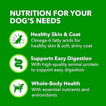 IAMS Proactive Health Ground Wet Dog Food, Lamb & Rice, 13 oz, 12 pack | Real lamb, supports whole-body health, Omega-6 for skin & coat, no fillers or artificial flavors, 100% complete & balanced