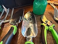 Review Image by Martin V.