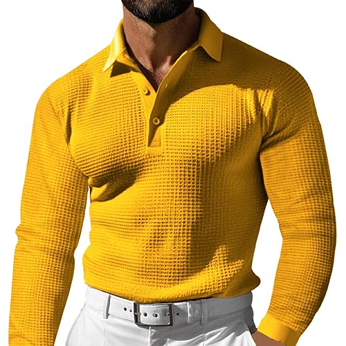 Men's Casual Vacation Solid Golf Shirt Waffle Lapel Long Sleeve Polo Shirts 2024 Fall Lightweight Button Up Tops