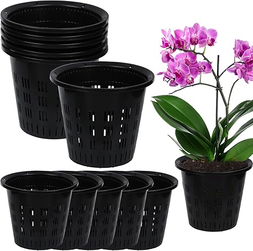 Juego de 12 macetas de plástico ranurado transpirable de orquídea negra con orificio de drenaje, macetas de aire para plantas de interior (4.3