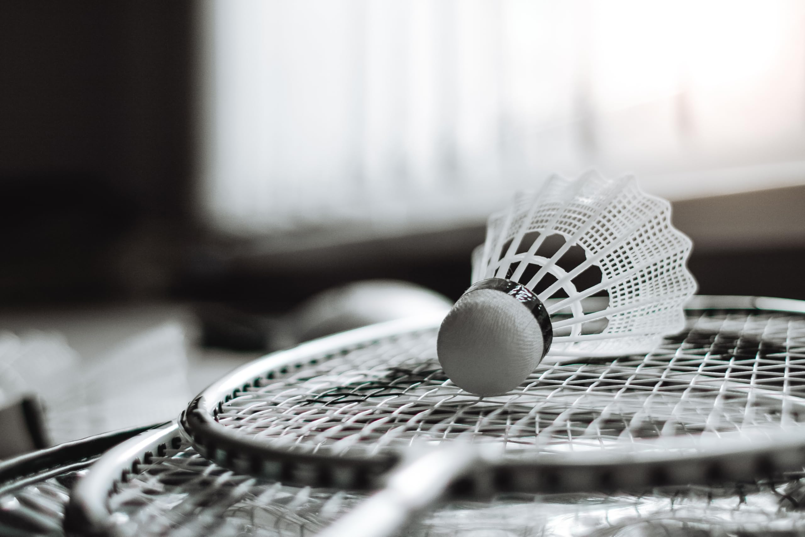 SportVida Badminton Set 2-4 Spieler, Badmintonset für die Familie zum Spielen und Trainieren (4 Spieler (Mit mesh))