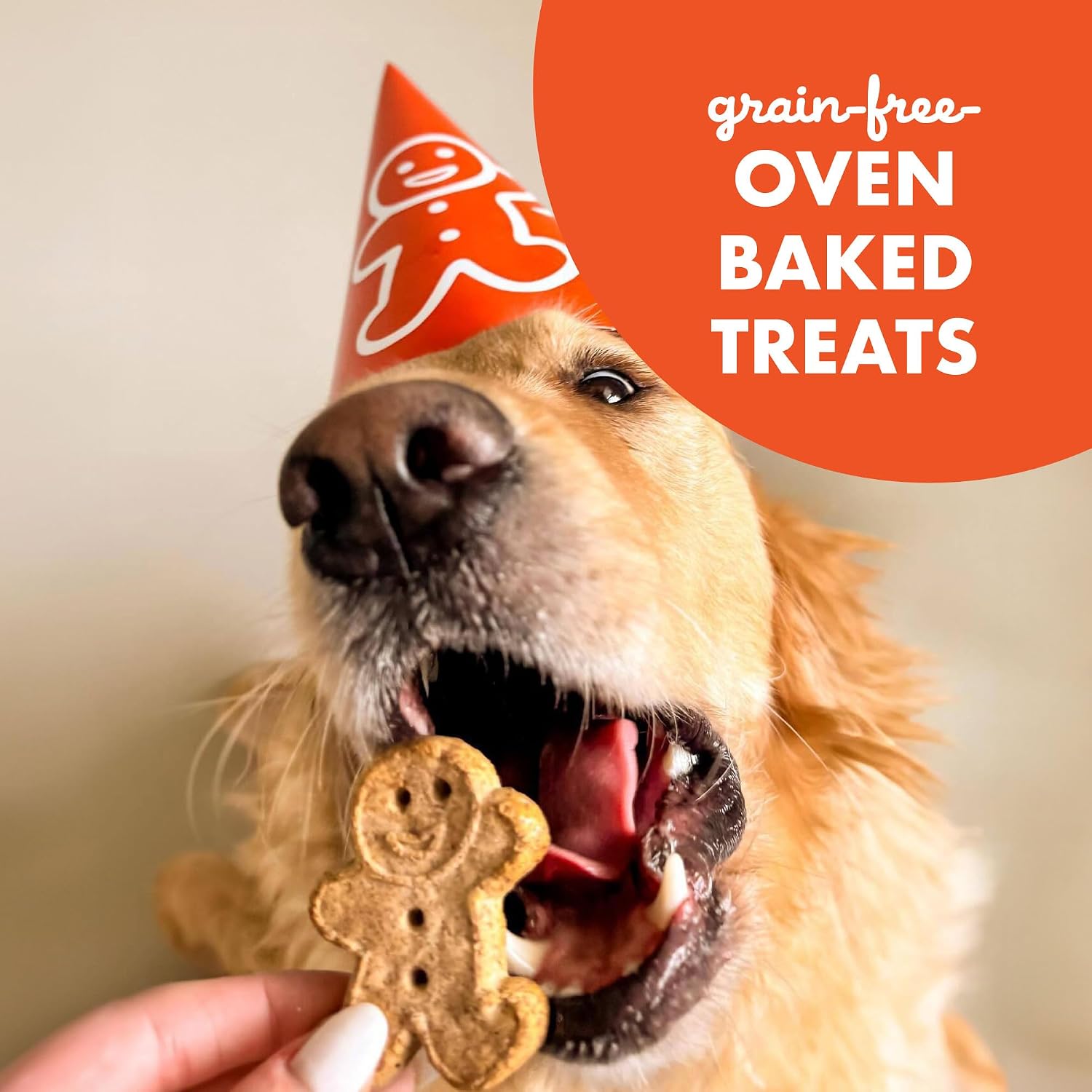 Cloud Star Grain Free Oven Baked Buddy Biscuits Dog Treats, Homestyle Peanut Butter, 14 oz, Pack of 12 (28150_12PACK)