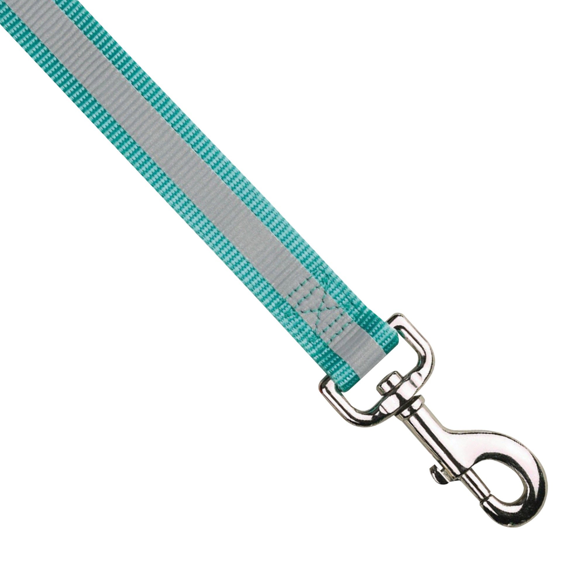 Guardian Gear Nylon Reflective Dog Leash, 6-Feet x 5/8-Inch Lead, Blue