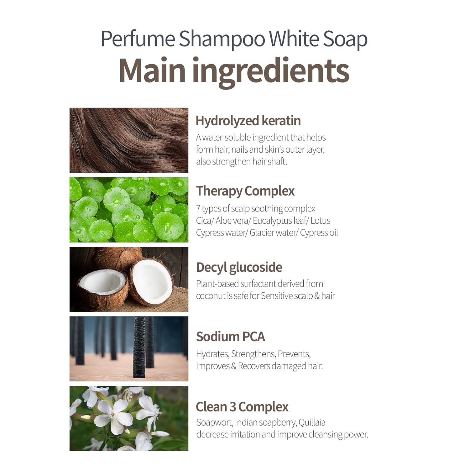 Shampoo and Conditioner Set, Hydrating & Nourishing for Dry Hair, White Soap Fragrance, Long-Lasting Scent, Korean Haircare, Paraben-Free, Hydrolyzed Keratin, 16.9 fl oz Each