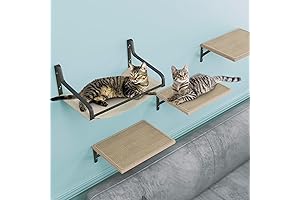 Cat Wall Shelves: Perfect Perch and Play Haven for Your Feline Friend