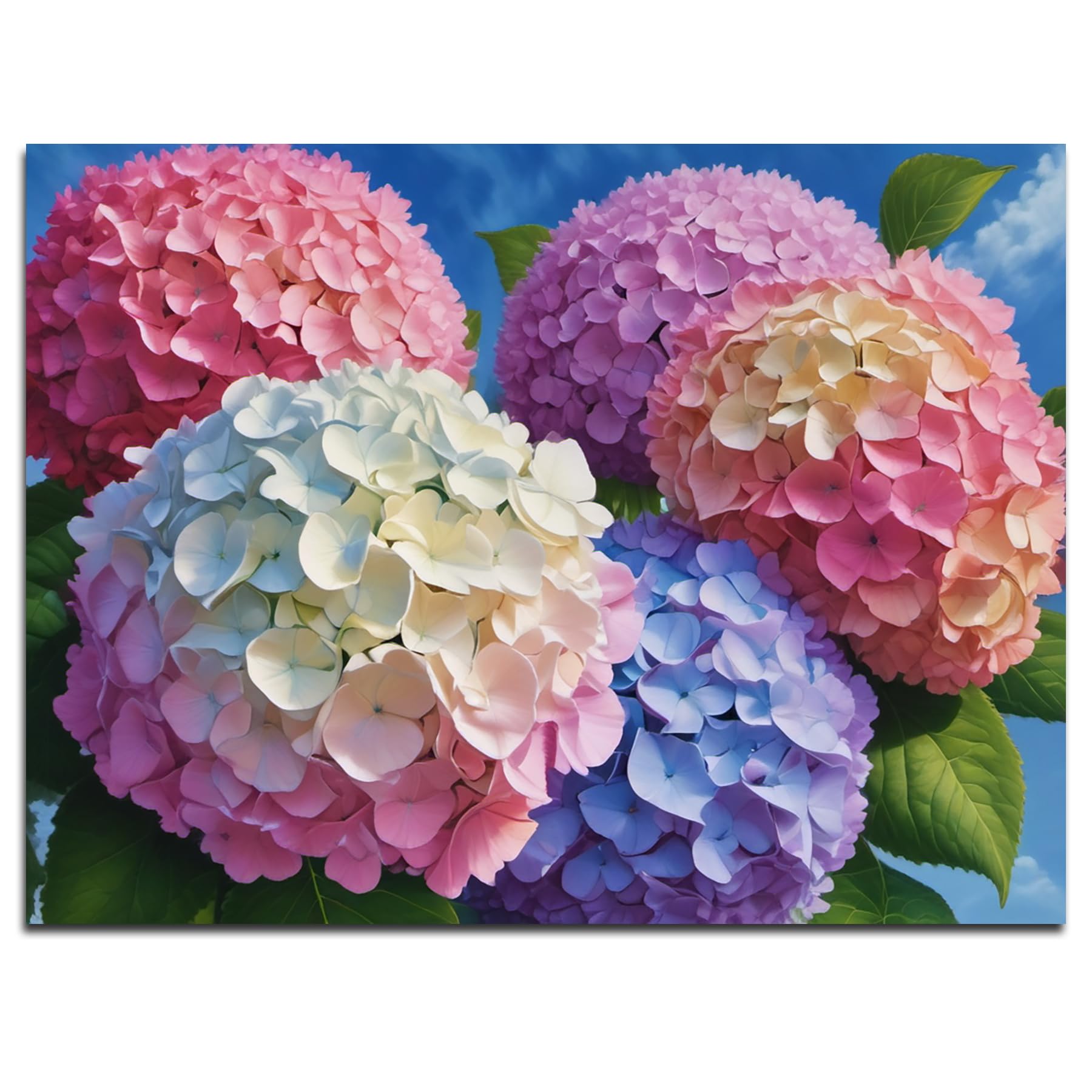 Fokenzary DIY Paint by Numbers Hydrangea Flower Oil Painting Canvas for Adults Beginners with Brush and Acrylic Paints, No Frame (40x50cm)