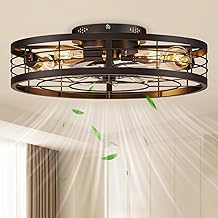 VOLISUN Caged Ceiling Fan with Light and Remote,23.6 inch Fandelier Ceiling Fan with Light Flush Mount, Farmhouse Bladeless Ceiling Fans with Lights for Kitchen,Bedroom
