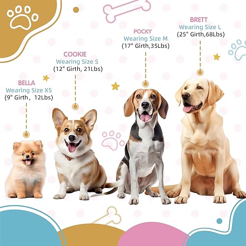 Miniatura 2 de Arnés para perro tricolor, arnés ajustable para perros pequeños, arnés resistente para cachorros, fácil de caminar, arnés para perros pequeños,